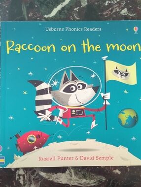 Usborne Raccoon on the Moon - Children's Picture Book (Teal)